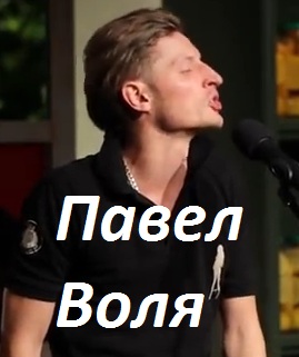 Павел Воля. Большой Stand Up / Концерт в театре эстрады (2013) 