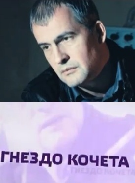 Гнездо Кочета (2013) 