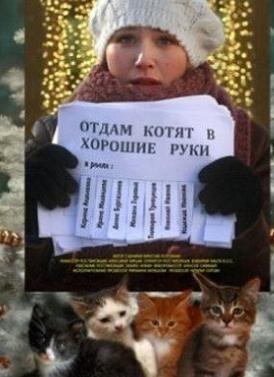 Отдам котят в хорошие руки